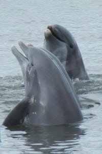 1-DSCN5824