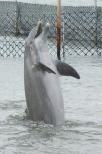 1-DSCN5826