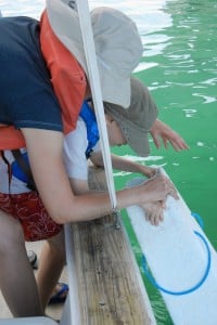 1-DSCN8355