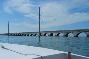 1-DSCN8359
