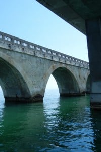 1-DSCN8362