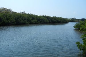 1-DSCN8391