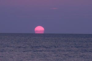 1-DSCN8440