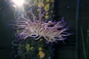 1-DSCN8922