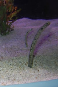 1-DSCN8928