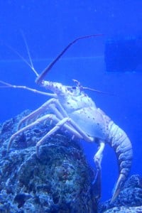 1-DSCN8934