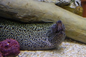 1-DSCN8937