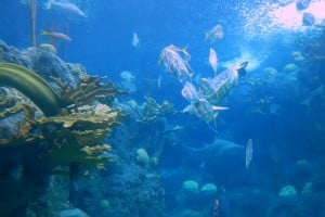 1-DSCN8984
