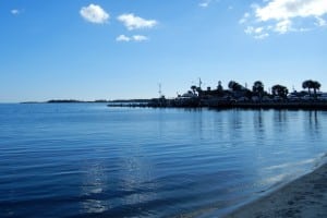 1-DSCN0368