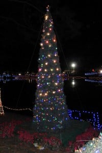 1-DSCN0648