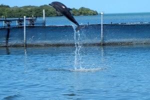 1-DSCN0886