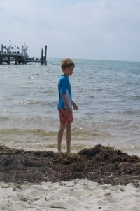 1-DSCN0979